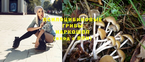 ECSTASY Алексеевка