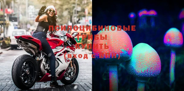 ECSTASY Алексеевка