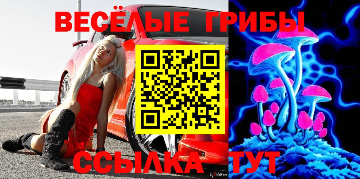 Псилоцибиновые грибы мухоморы Магнитогорск