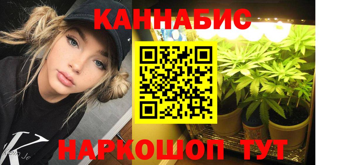 Каннабис SATIVA & INDICA Магнитогорск